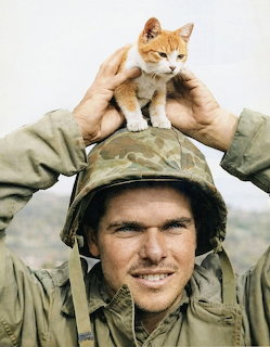 Soldier with Kitten