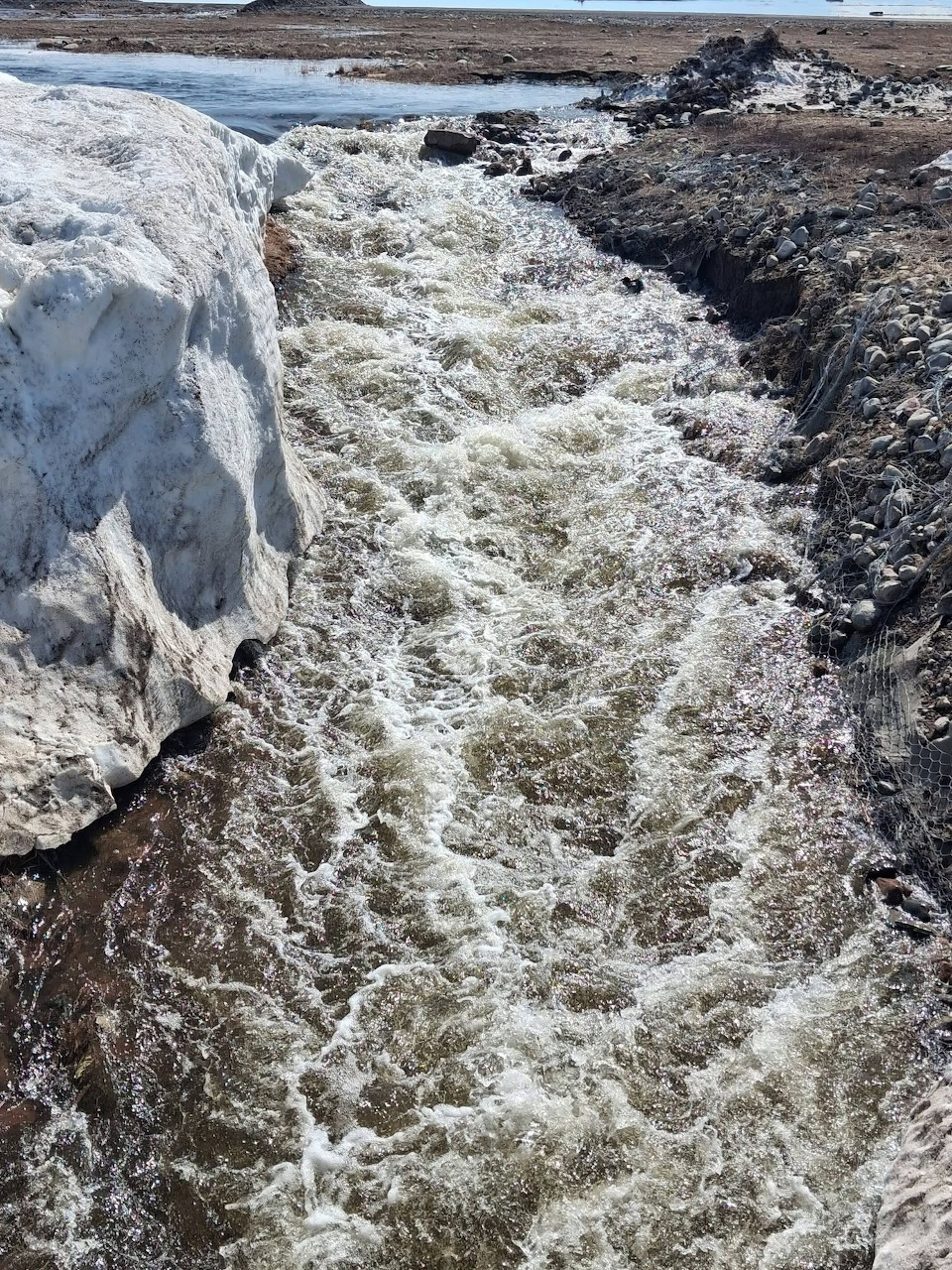 Fast-flowing rapids rushing through a rocky river channel in Arctic tundra landscape with ice on the banks