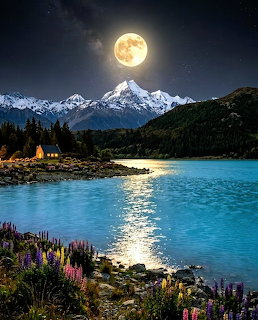 Full moon over snowy mountains and turquoise Lake Tekapo with a lit cottage and flowers on the shore