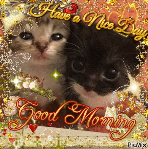 Two young kittens with large eyes framed by golden flowers and Good Morning greeting text