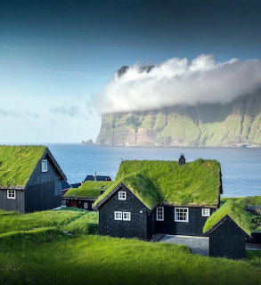 Black wooden houses with grass roofs on green hillside overlooking ocean and misty cliffs in the Faroe Islands