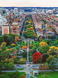 Aerial view of Boston Commonwealth Avenue with autumn foliage and city buildings stretching into the distance
