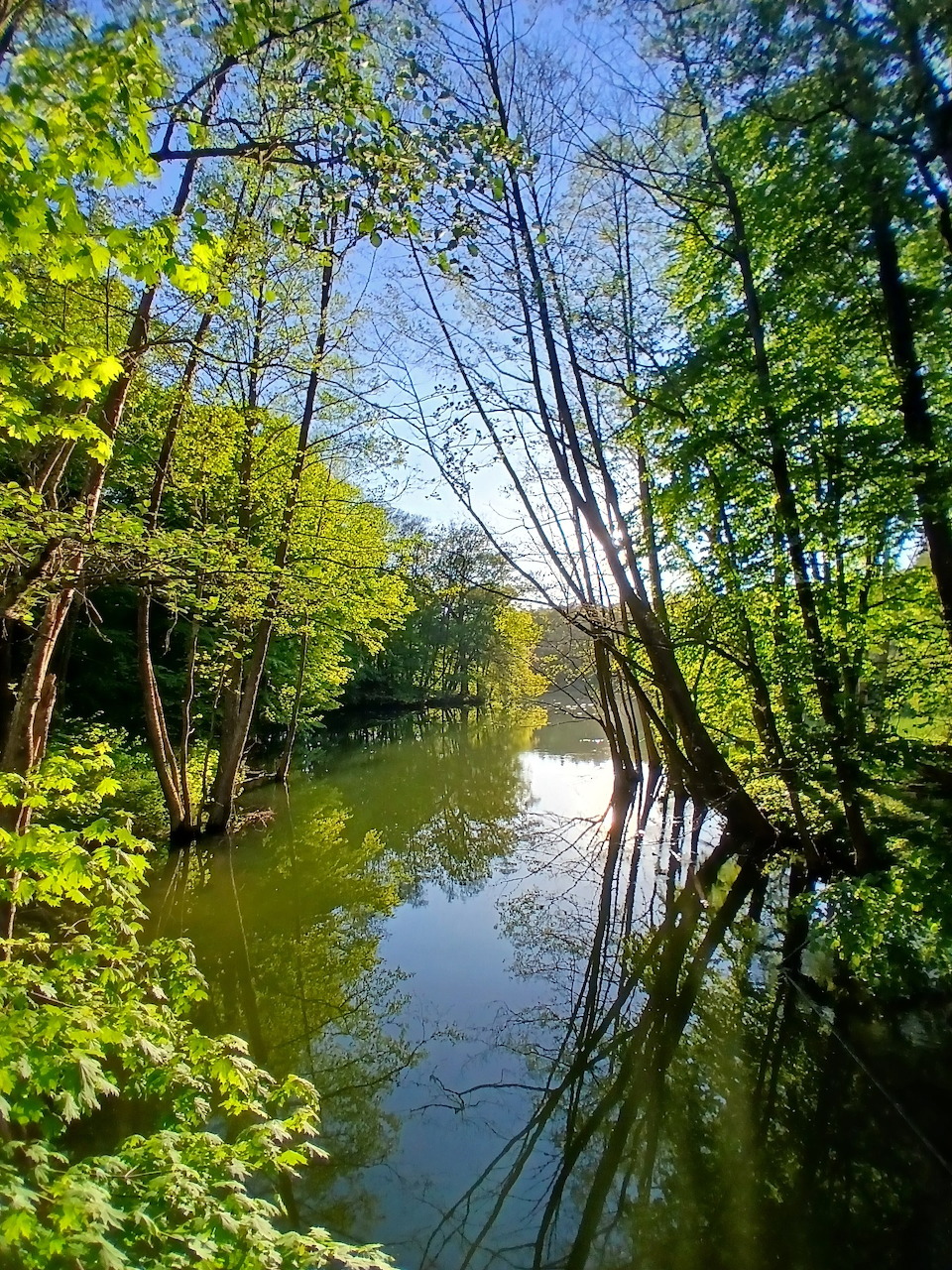 Lake Ustrych