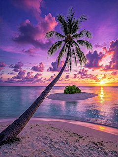 Palm tree silhouette against vivid purple sunset sky over tropical beach with small island and calm ocean