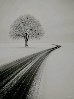 Lone Tree Winter Road