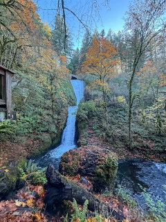 Cascading waterfall in an autumn forest with colorful foliage and mosy rocks
