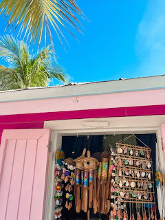 Pink tropical souvenir shop with seashell ornaments, wooden birdhouse, and palm tree against blue sky