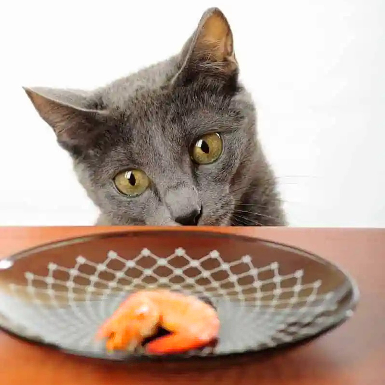 Gray Cat Eyes Food