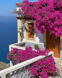 Greek House with Bougainvillea
