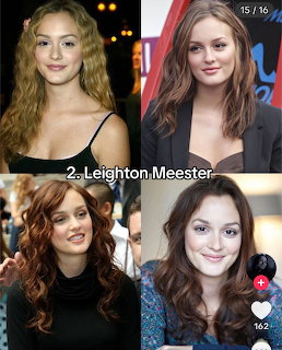 Leighton Meester Collage
