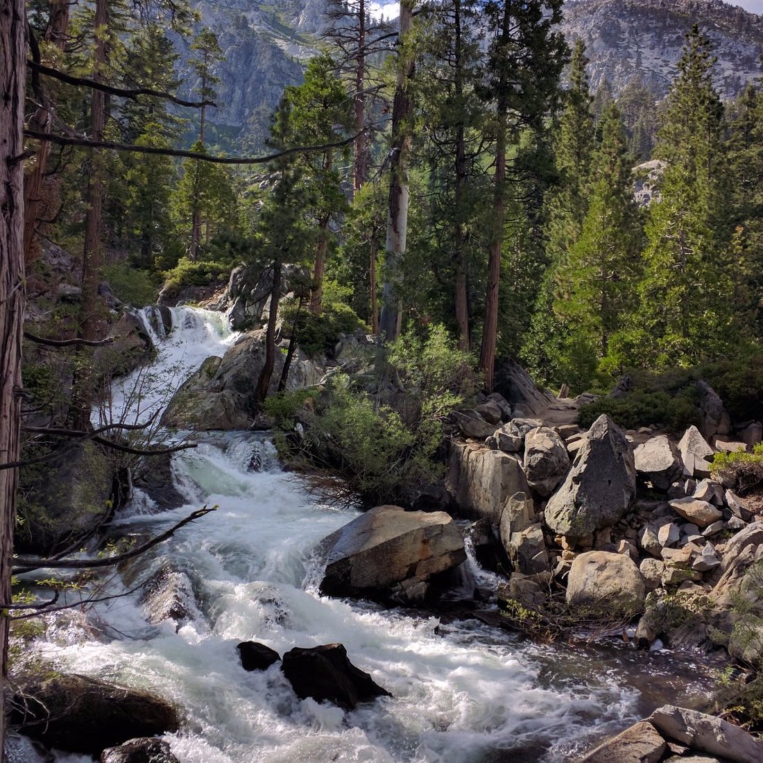 Mountain waterfall rushing through pine forest and granite rocks at Lake Tahoe
