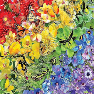 Colorful butterflies over a rainbow collage of bright flowers