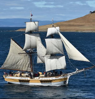 White-sailed tall ship Lady Nelson sailing on blue ocean near brown coastal hills