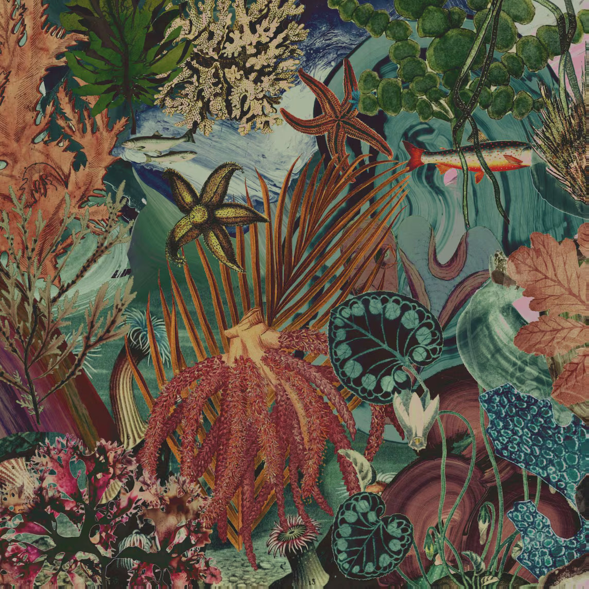 Detailed vintage botanical collage with tropical plants, flowers, coral, and sea creatures in warm and teal colors