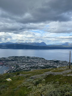 Grassy hillside overlooking a coastal town, blue water, and distant mountains under cloudy skies
