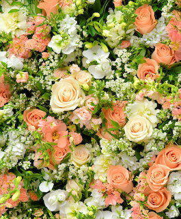 Dense arrangement of peach and white roses with green leaves and small white flowers