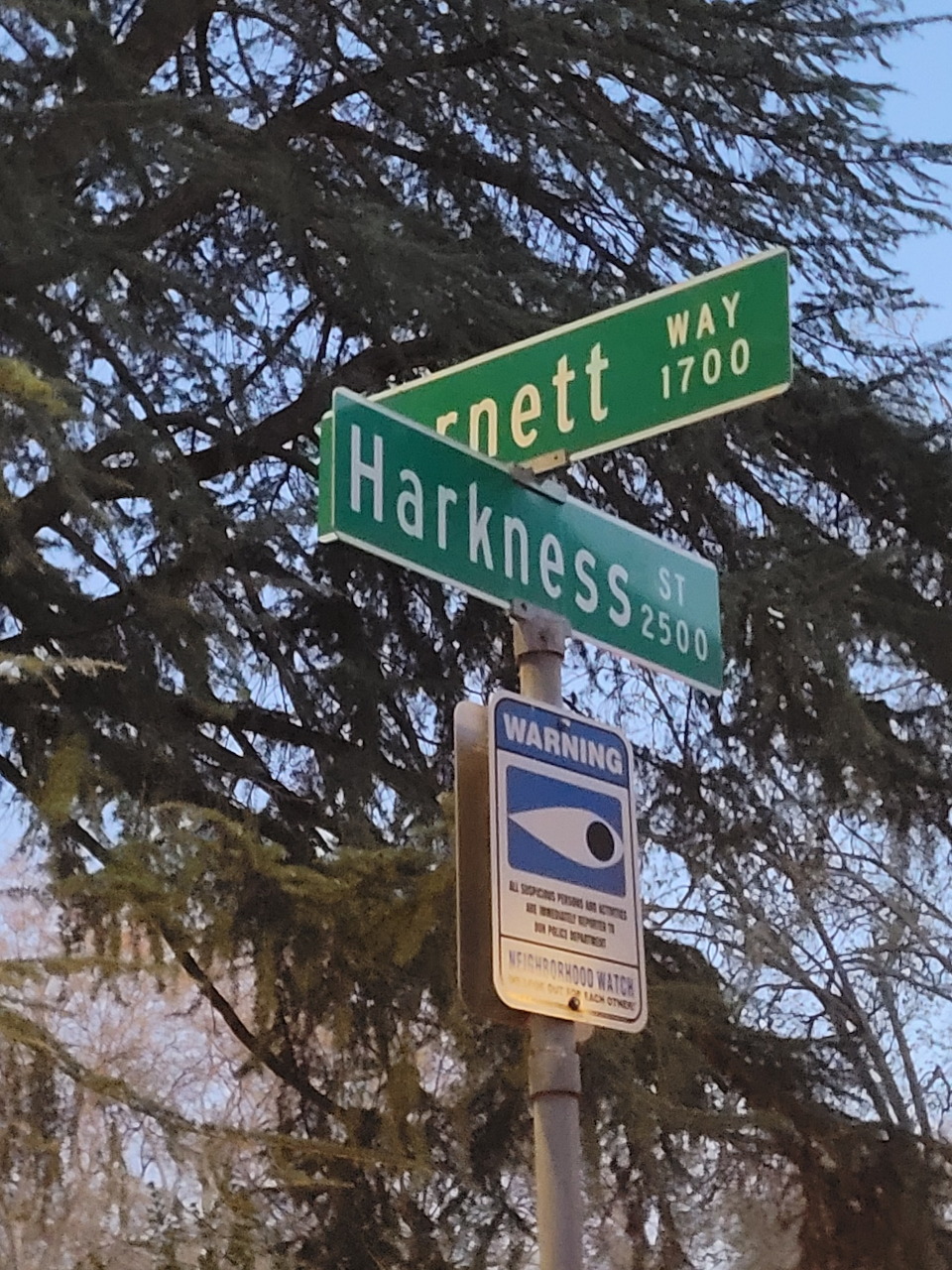 Green street signs for Harkness Street and Bennett Way on a pole with trees in background