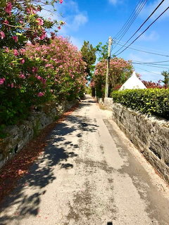 Narrow village lane bordered by bloming pink oleander trees, stone walls, and a white rofed building ahead