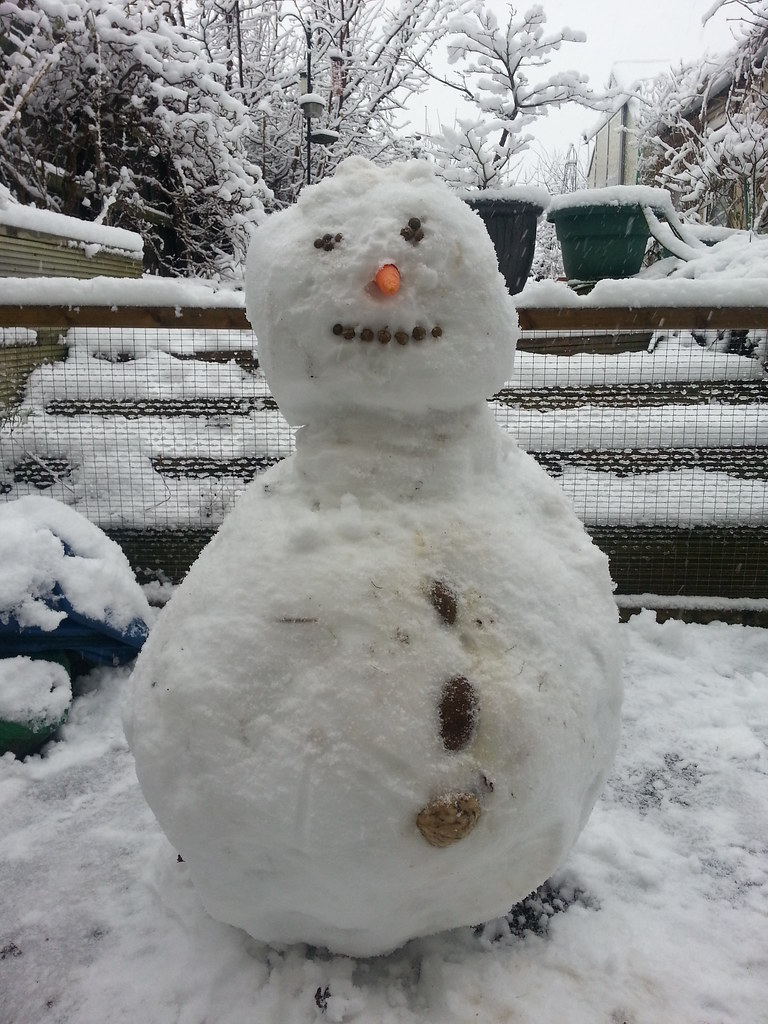 Snowman with carrot nose in a snowy backyard with fence and snow-covered trees
