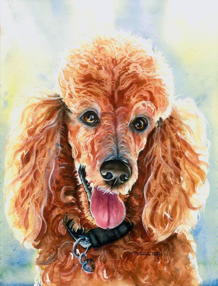 Painted portrait of an apricot poodle with curly fur, long ears, and tongue out
