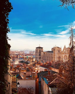 Elevated view of Lyon old town with red-tiled roofs, historic buildings and church towers framed by trees