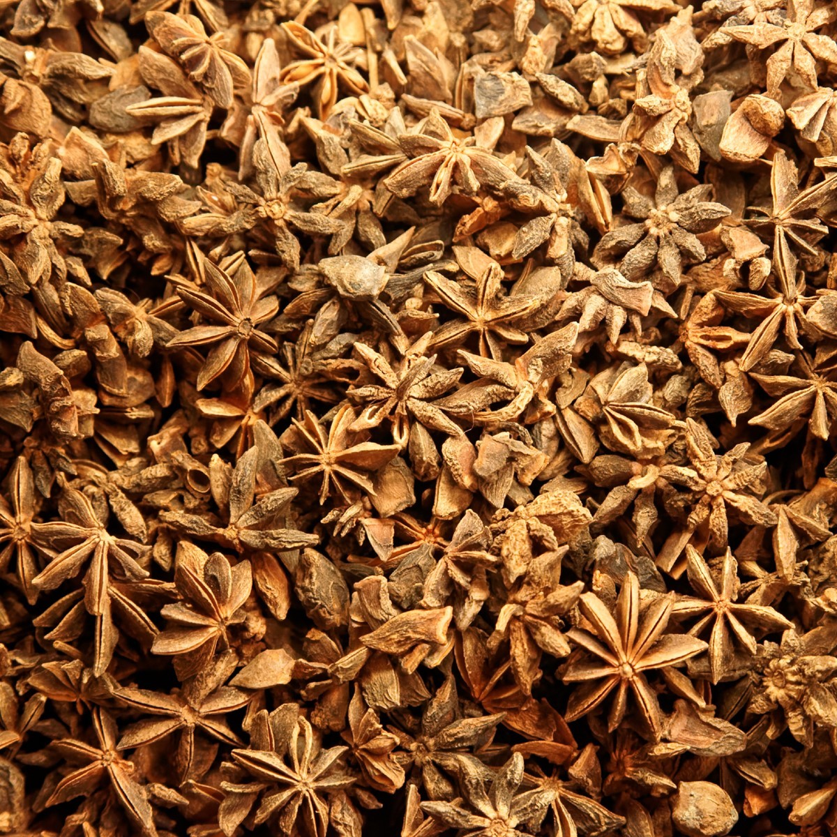Dense arrangement of dried star anise spice pods with eight-pointed star shapes in warm brown tones