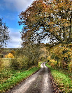Autumn Country Road