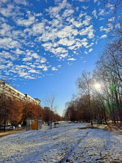 Snowy park pathway with bare trees and blue sky with white clouds