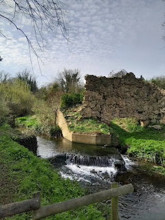 Lacock Abbey Grounds Stream