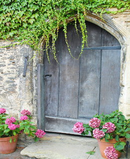 Rustic wooden door with arch, stone wall, ivy, and pink potted flowers