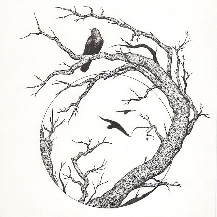 Bird on Branch