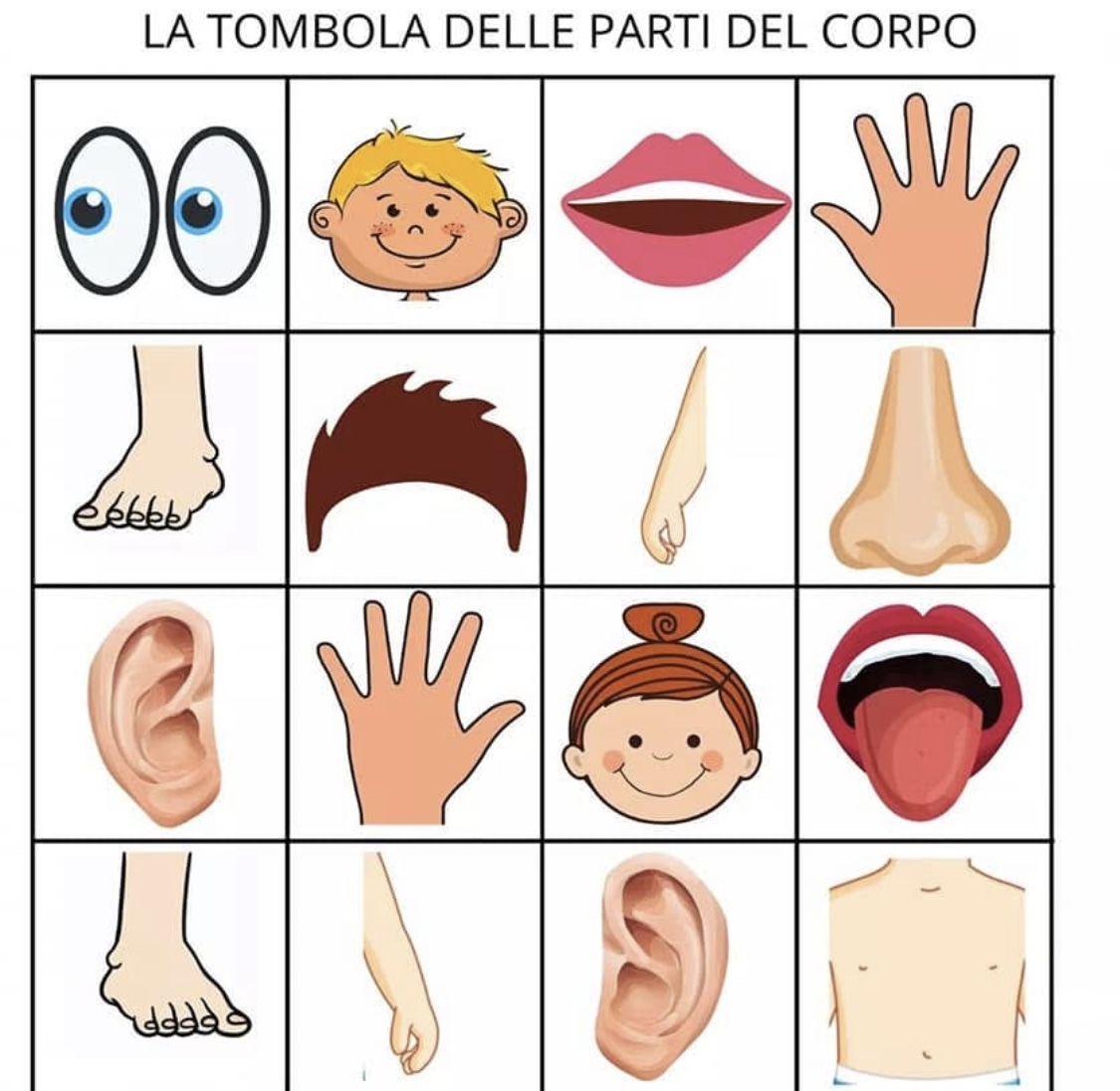 Illustrated grid showing human body parts such as eyes, ears, mouth, hands, feet, nose, arm, face, and torso