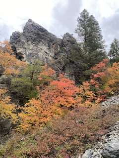 Rocky cliff surrounded by colorful autumn trees in orange, red, and green under a cloudy sky