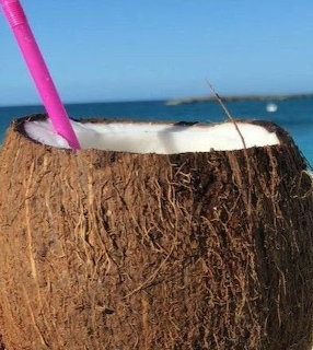 Coconut Drink Pink Straw