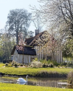 Half-timbered cottage with thatched roof beside a pond with a white swan and spring blossoms