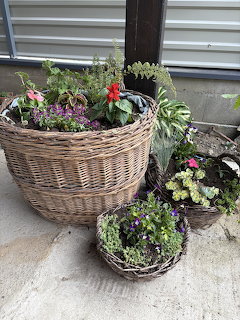 Several wicker baskets filled with green plants and colorful flowers on a concrete patio