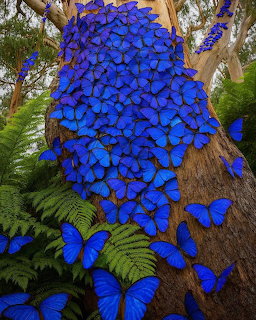 Cluster of bright blue butterflies covering a tree trunk surrounded by green ferns in a forest