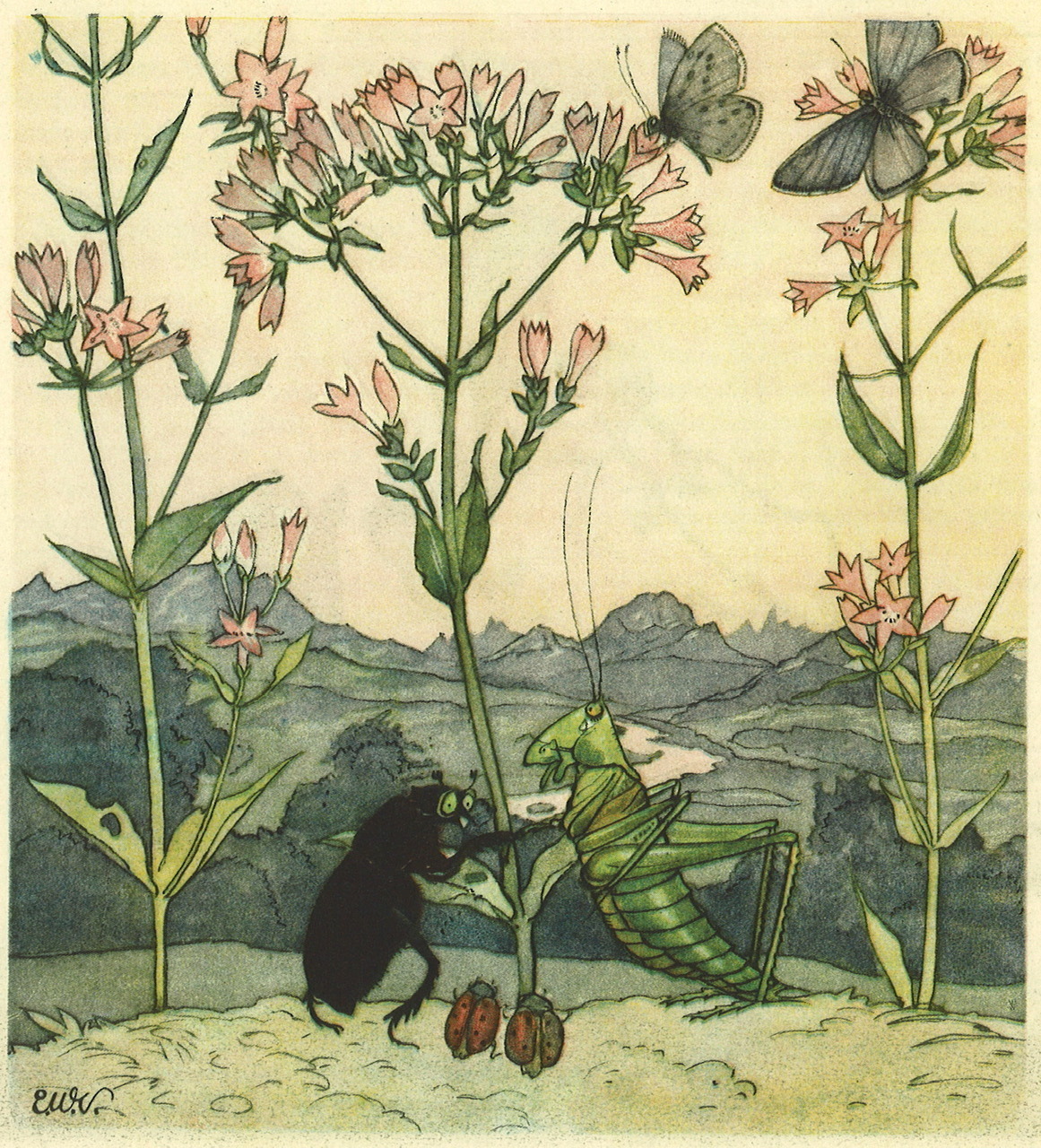 Beetle and Grasshopper 1924 Illustration