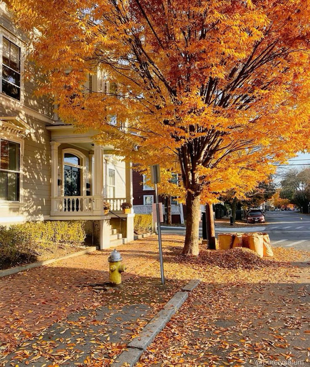 Autumn Street Victorian House