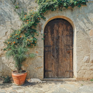 Wooden Door with Climbing Plant