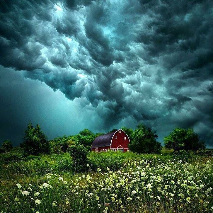 Ominous storm clouds loom over a red barn surrounded by white flowering plants in a green field