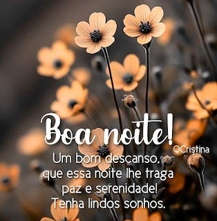 Peach flowers in soft focus with a Portuguese Boa noite good night quote in white text