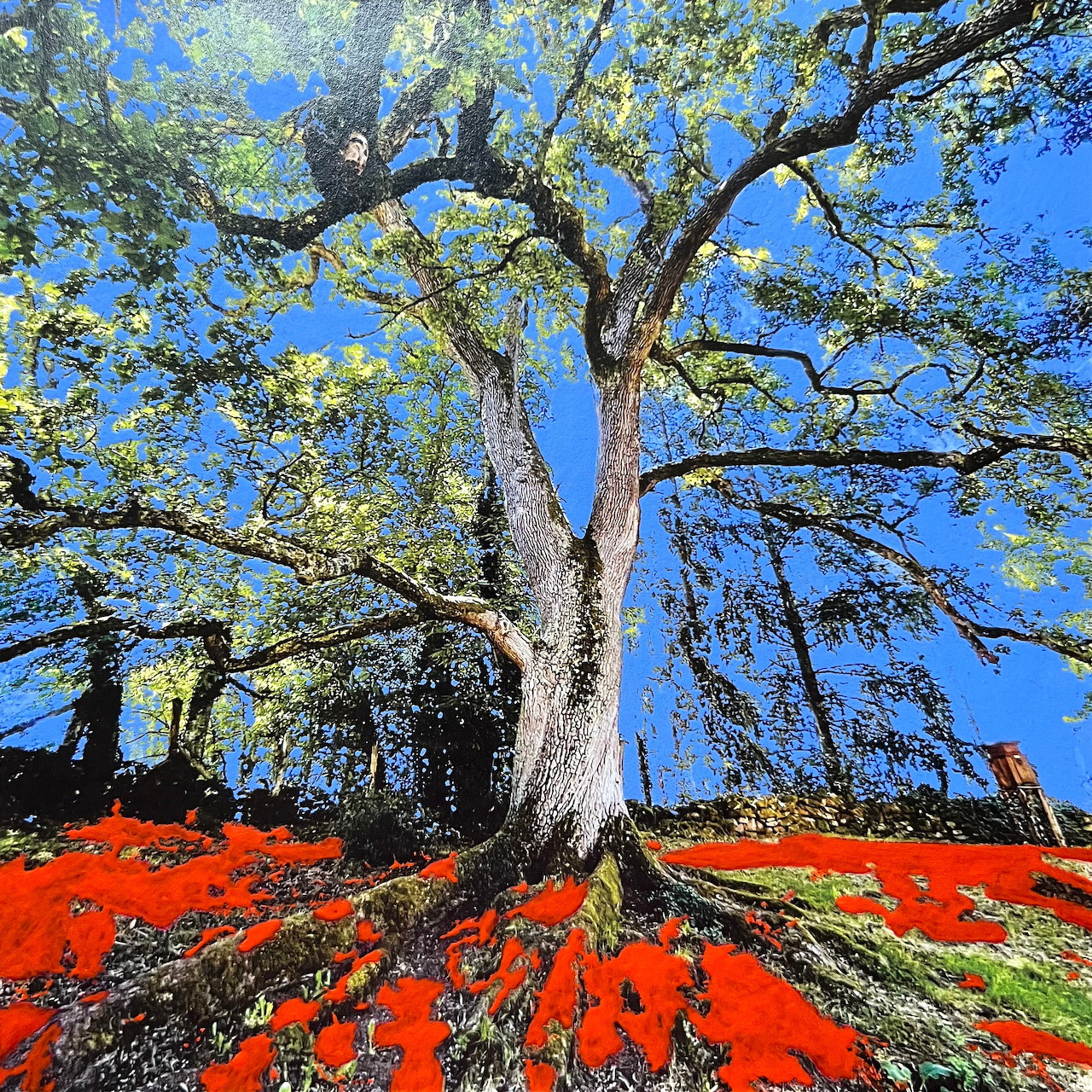 Stylized painting of a large oak tree under a bright blue sky with vivid red ground cover