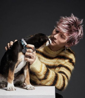 Person with pink hair in striped sweater holding a beagle puppy in studio setting