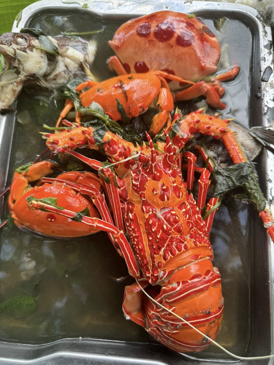 Cooked red lobster and crab arranged on a metal tray with ice