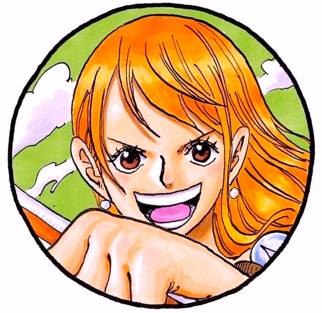 ONE PIECE Nami Portrait