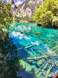 Crystal clear turquoise lake with submerged logs surrounded by green trees and mountain cliffs