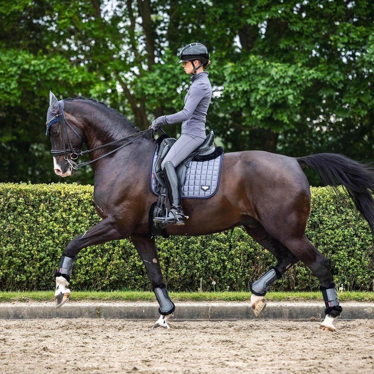 Equestrian rider in gray jacket performing dressage on a dark bay horse in outdoor sand arena