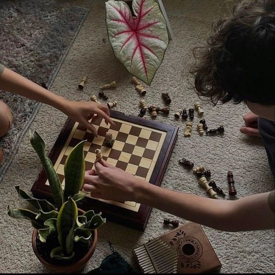Overhead view of two people arranging a chessboard on a carpet beside a plant and a book