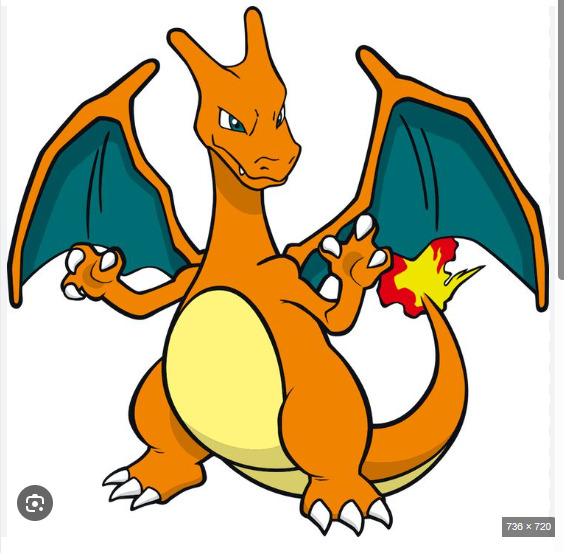Charizard Pokemon